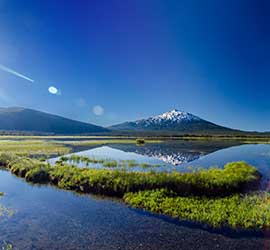 Contact Bend Cloud Techology Firm