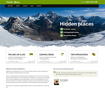 Trek Ibex Web Design
